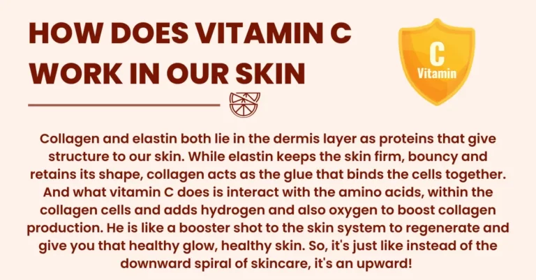 HOW DOES VITAMIN C WORK IN OUR SKIN