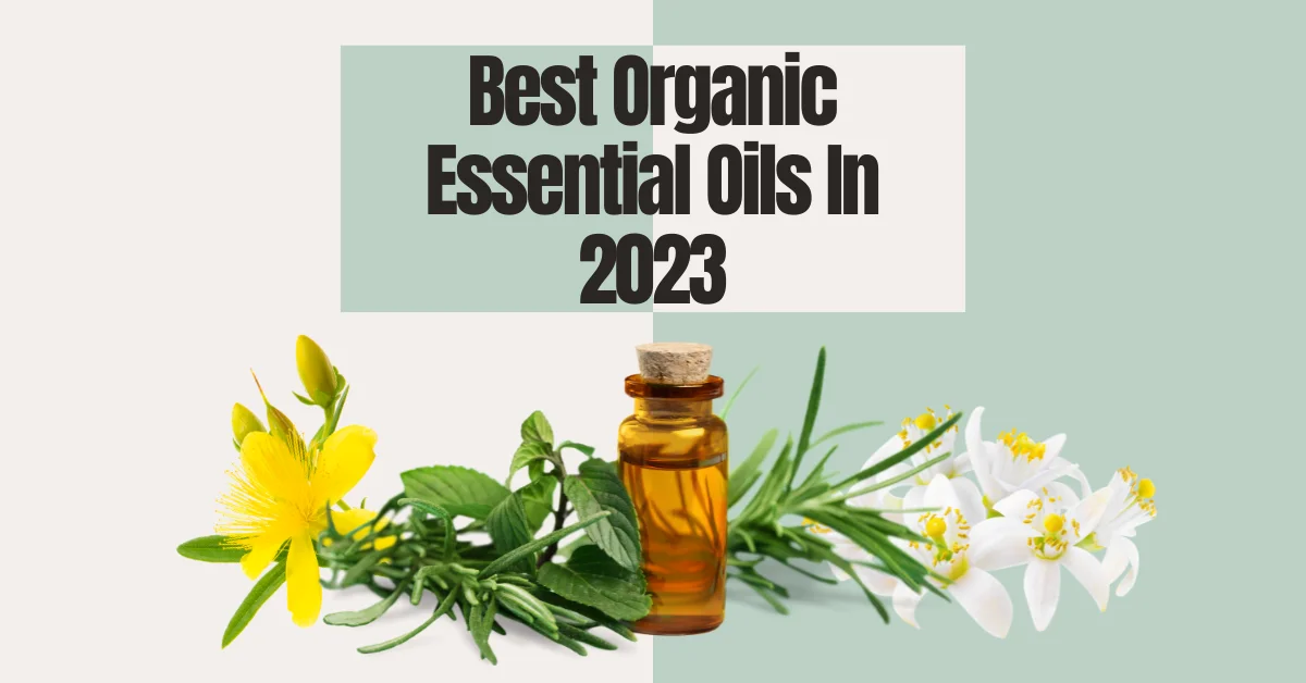 Best Organic Essential Oils In 2023