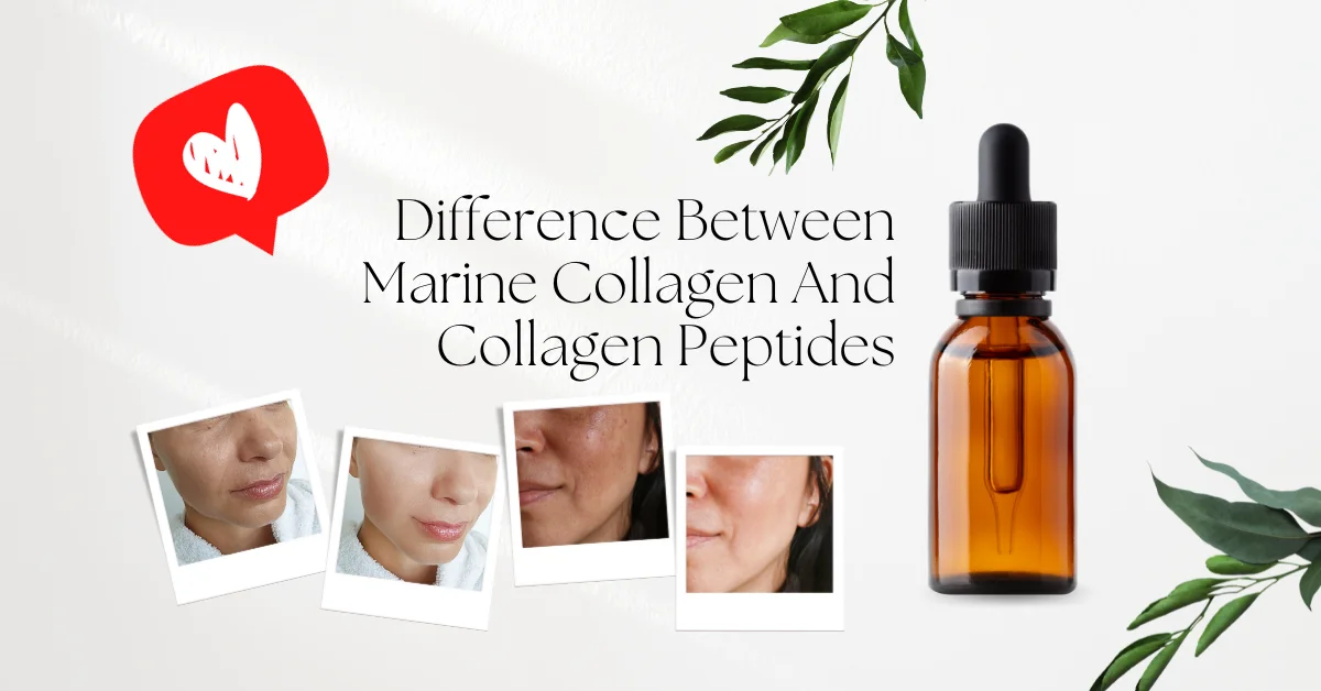 Difference Between Marine Collagen And Collagen Peptides