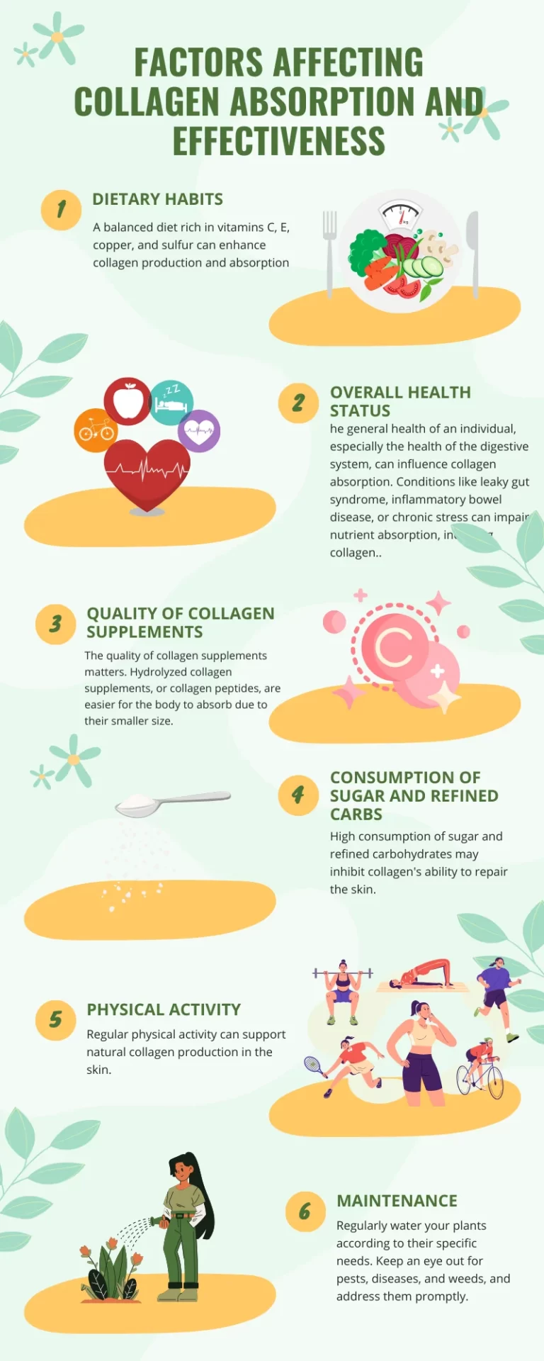 Factors Affecting Collagen Absorption and Effectiveness